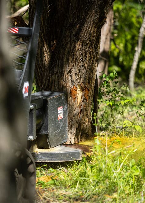 skid steer tree saws paulsvalley|vail products tree saw.